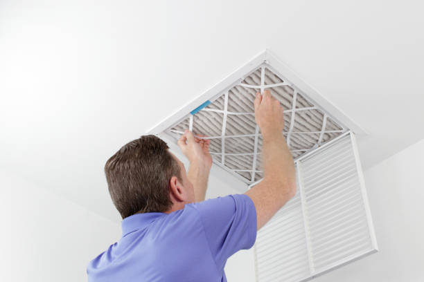 Best Duct Cleaning Specialists  in Point, TX